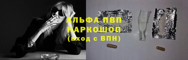 индика Новозыбков