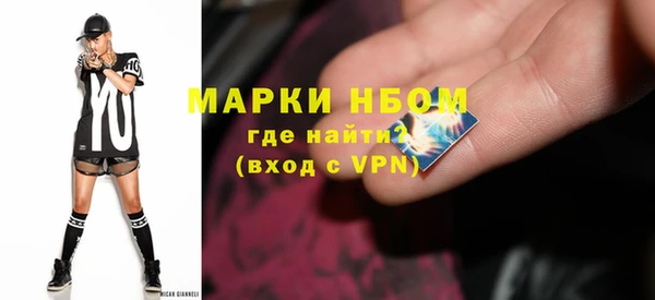 индика Новозыбков