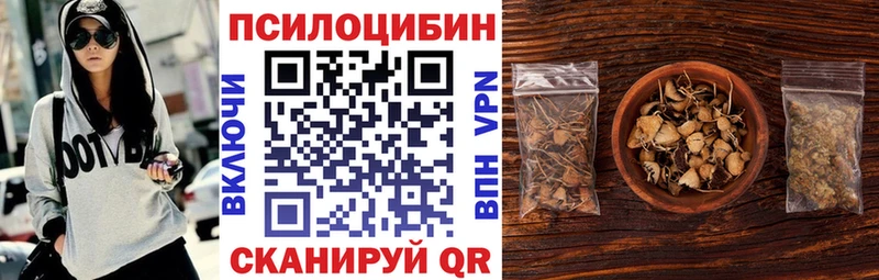 Купить закладки  Сычёвка  Псилоцибиновые грибы мицелий 